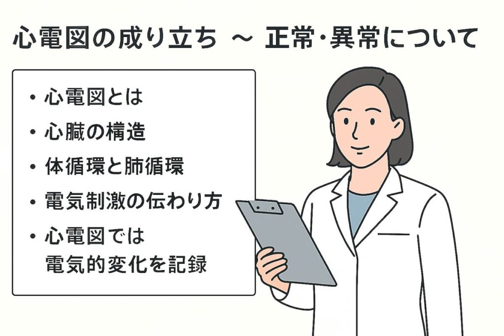 循環器専門医が心電図の成り立ち、正常所見、異常所見、心臓の構造や血液循環について説明しています。