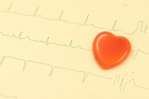 心電図の上にハートの模型が置いてあります。