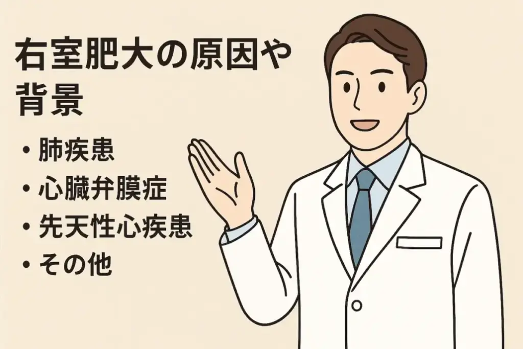 右室肥大・右室高電位の原因や背景を説明する医師