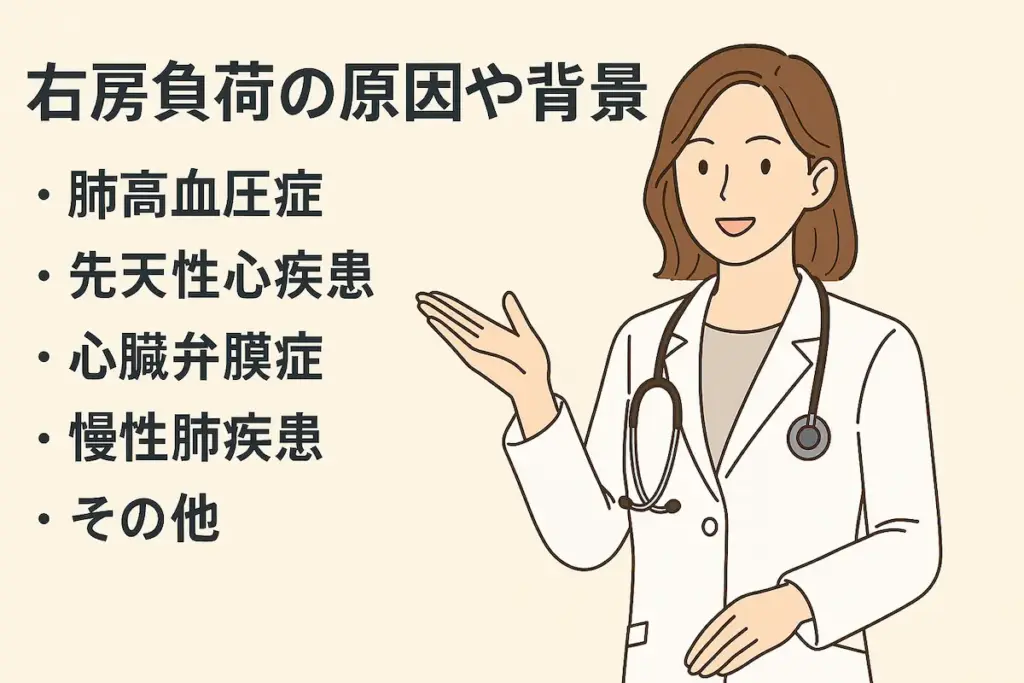 右房負荷について説明する医師