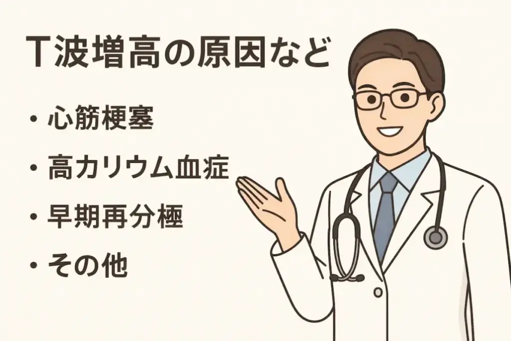 T波増高の原因についてやさしく説明する男性医師