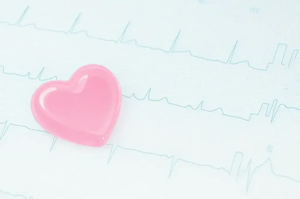 ハートの模型が心電図の上に置いてあります。