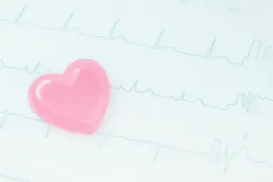 ハートの模型が心電図の上に置いてあります。