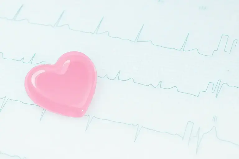 ハートの模型が心電図の上に置いてあります。